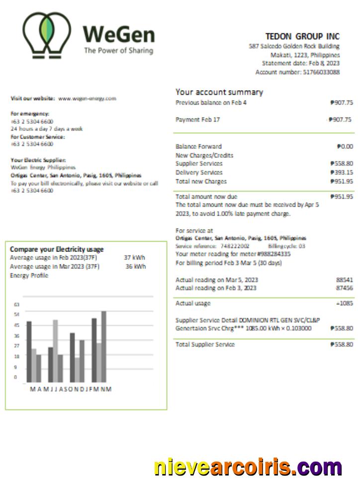 WeGen Energy Philippines utility business bill